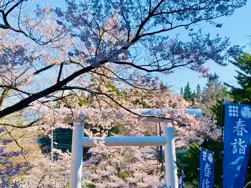 土津神社｜こどもと出世の神さまの鳥居