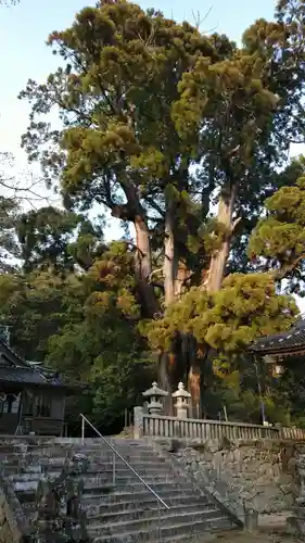 祇園寺の建物その他