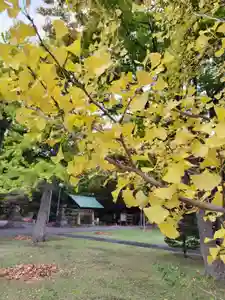 厚別神社(北海道)(2023年10月22日(日) 10時24分02秒投稿)