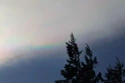 磐椅神社の自然