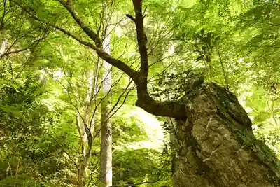 定福寺(高知県)