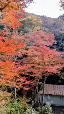 勝尾寺(大阪府)