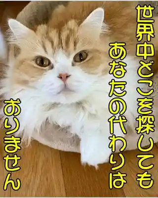 西教寺（下松駅徒歩５分）(山口県)