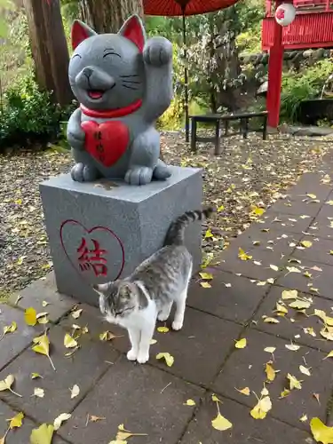 鹿角八坂神社の狛犬