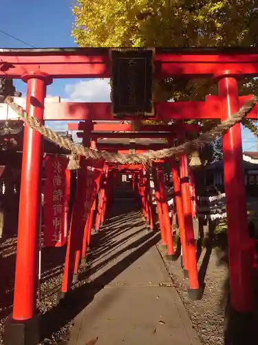 於菊稲荷神社の鳥居