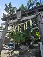 稲取八幡神社(静岡県)