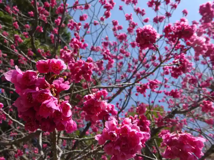 長谷寺(神奈川県)