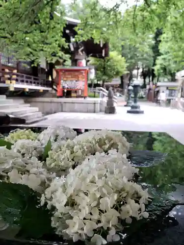 熊野神社(東京都)