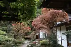 法雲寺の庭園