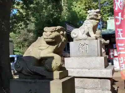 下高井戸八幡神社の狛犬