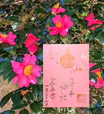 令和5年1月 月替わり御朱印 『初詣』
さっそく色和紙限定御朱印いただきましたぁ😆