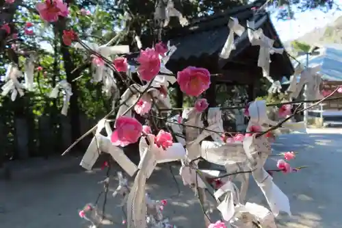 神田神社の自然
