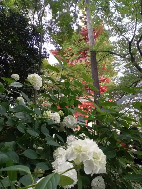 高幡不動尊 金剛寺の自然