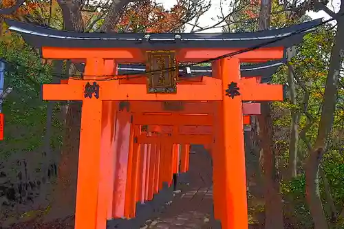 伏見稲荷大社の鳥居