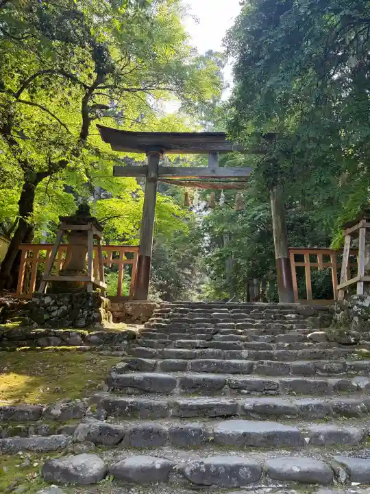 平泉寺白山神社の{uncategorized: "未分類", other: "その他", undefined: "問題あり", building: "その他建物", grave: "お墓", sacred_gate: "鳥居", guardian: "狛犬", statue: "像", buddha: "仏像", history: "歴史", nature: "自然", garden: "庭園", animal: "動物", pagoda: "塔", temizu: "手水舎", mountain_gate: "山門・神門", sanctuary: "本殿・本堂", subordinate: "末社・摂社", art: "芸術", scenery: "景色", jizo: "地蔵", ema: "絵馬", goshuin: "御朱印", omikuji: "おみくじ", items: "授与品その他", amulet: "お守り", goshuincho: "御朱印帳", eats: "食事", festival: "お祭り", votive_dance: "神楽", shichigosan: "七五三参", wedding: "結婚式", experience: "体験その他", initially: "初詣", around: "周辺", anti_infection: "感染症対策"}