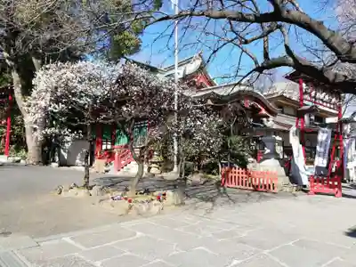居木神社の本殿・本堂