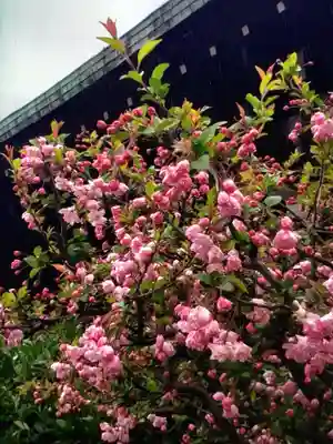 本郷氷川神社(東京都)