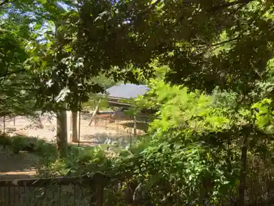 渋谷氷川神社(東京都)