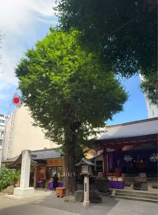 日本橋日枝神社(東京都)