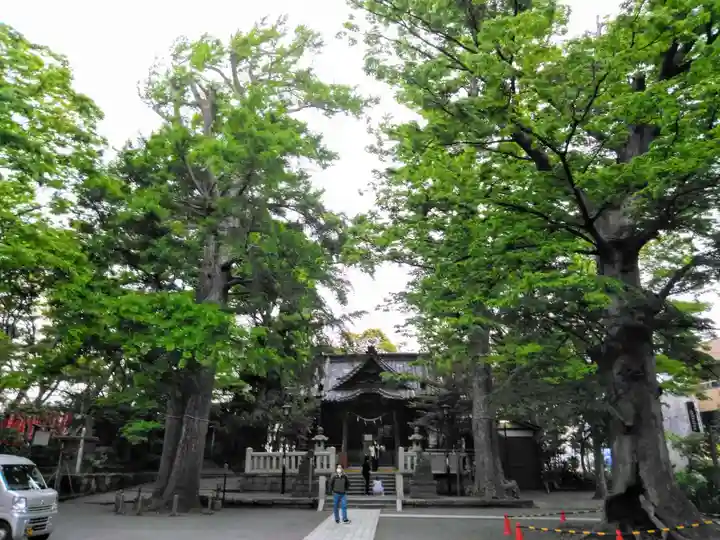 亀岡八幡宮(亀岡八幡神社)の本殿・本堂
