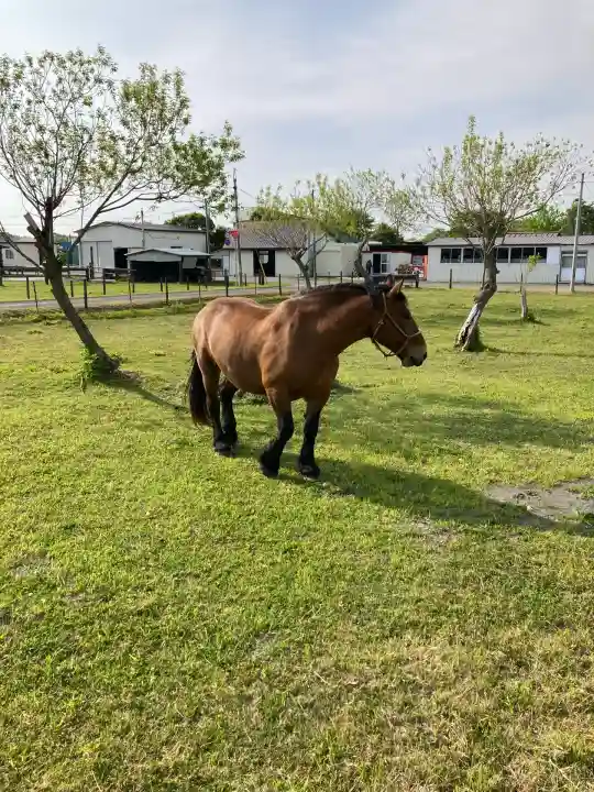 大楽毛神社(北海道)