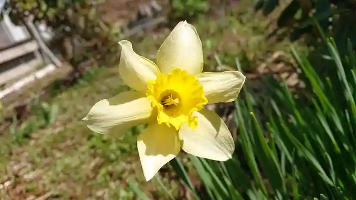 壽徳寺 じゅとくじの自然
