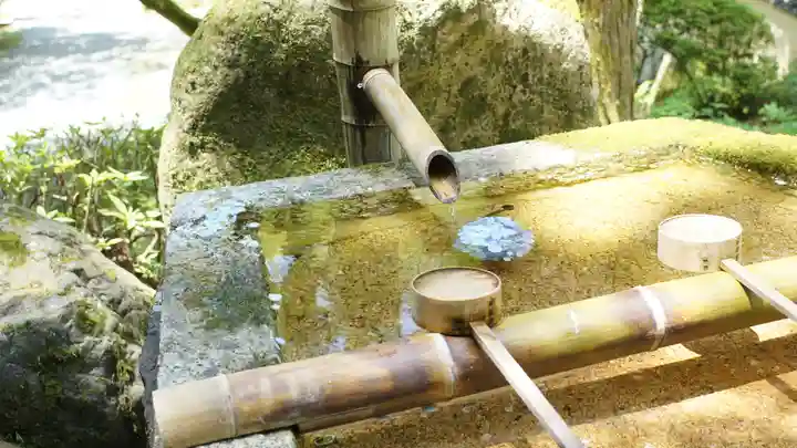 今熊野観音寺(京都府)