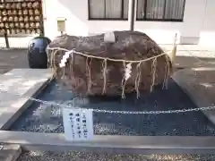 亀戸 香取神社の自然