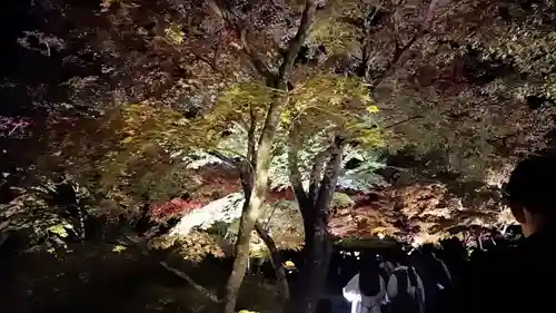 円通院(宮城県)