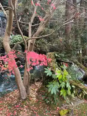 瀧川神社(静岡県)