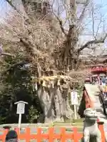 鶴岡八幡宮の{uncategorized: "未分類", other: "その他", undefined: "問題あり", building: "その他建物", grave: "お墓", sacred_gate: "鳥居", guardian: "狛犬", statue: "像", buddha: "仏像", history: "歴史", nature: "自然", garden: "庭園", animal: "動物", pagoda: "塔", temizu: "手水舎", mountain_gate: "山門・神門", sanctuary: "本殿・本堂", subordinate: "末社・摂社", art: "芸術", scenery: "景色", jizo: "地蔵", ema: "絵馬", goshuin: "御朱印", omikuji: "おみくじ", items: "授与品その他", amulet: "お守り", goshuincho: "御朱印帳", eats: "食事", festival: "お祭り", votive_dance: "神楽", shichigosan: "七五三参", wedding: "結婚式", experience: "体験その他", initially: "初詣", around: "周辺", anti_infection: "感染症対策"}