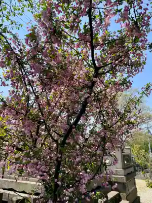 蓮華寺(福島県)