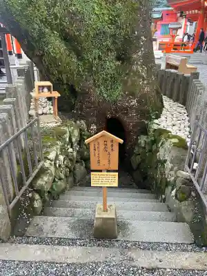 熊野那智大社(和歌山県)