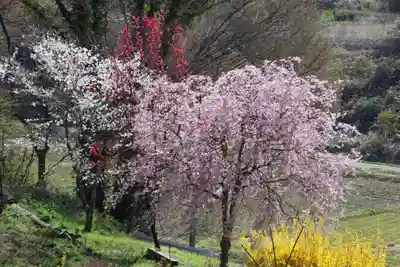 阿久津「田村神社」（郡山市阿久津町）旧社名：伊豆箱根三嶋三社の庭園