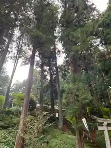 大宮温泉神社(栃木県)(2022年08月28日(日) 06時08分40秒投稿)