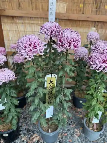 諏訪大社下社秋宮(長野県)