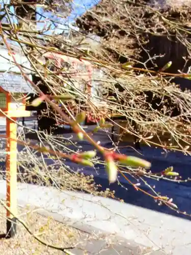 猿田彦神社(東京都)