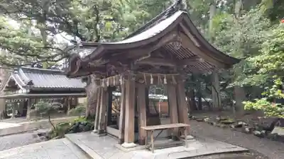 彌彦神社の手水舎