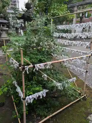 仲町氷川神社(東京都)