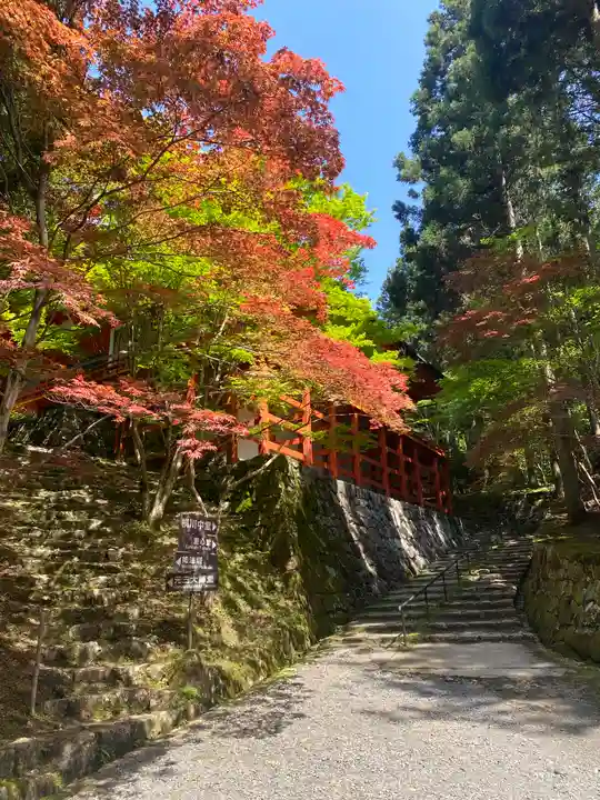 比叡山延暦寺(滋賀県)