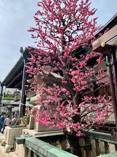 大阪天満宮(大阪府)