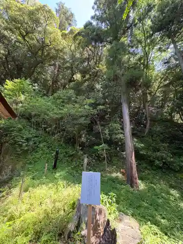 出雲大社(島根県)