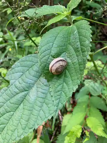 冨士浅間神社(東京都)