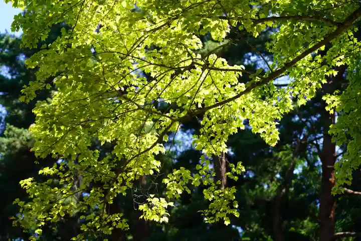 土津神社|こどもと出世の神さまの自然