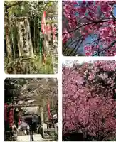 熊野若王子神社の自然