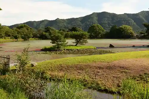 大覚寺(京都府)