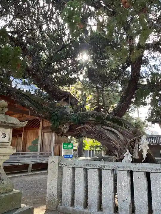 高砂神社(兵庫県)