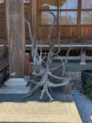 智光院(東京都)