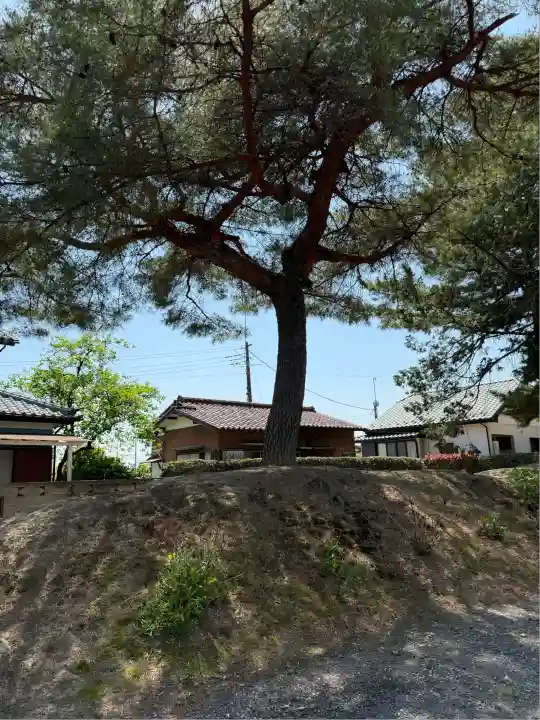 上之村神社(埼玉県)