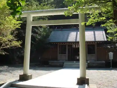 安房神社の鳥居